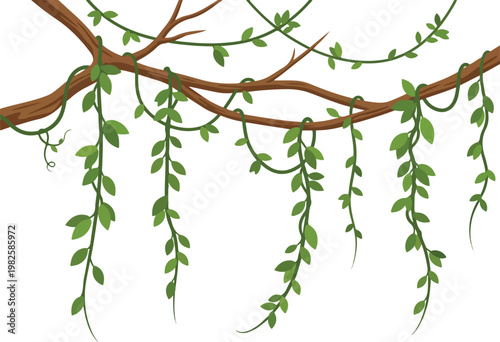 Lush hanging vines with leaves cascading down a tree branch, natural jungle foliage