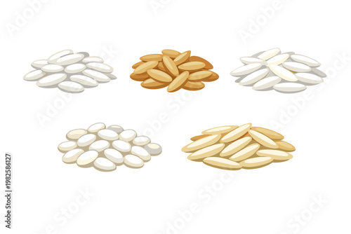 Set of Different Types of Rice Grains Vector Illustration Including White Rice, Brown Rice, Jasmine Rice, and Basmati Rice Piles Isolated on White Background for Food and Cooking Design.