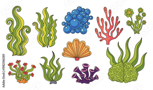 A vibrant collection of stylized underwater plants, diverse corals, and marine elements for creating engaging aquatic ecosystem themes and lively oceaninspired graphic compositions.