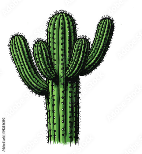 Vibrant green saguaro cactus with many arms and sharp spines perfect for desert landscape themes, natural habitat visuals, or plant life study materials
