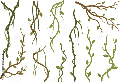 Various jungle vines with leaves and branches, organic design elements for graphic design and illustration