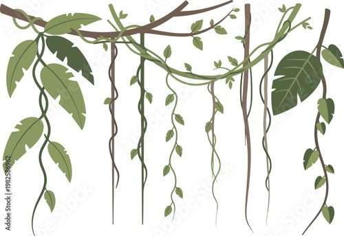 Lush jungle vines and leaves hanging from branches, creating a natural, tropical backdrop