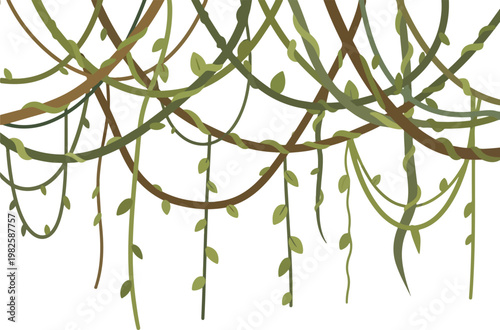 Jungle vines hanging and swaying gently in the breeze, a natural green forest canopy background