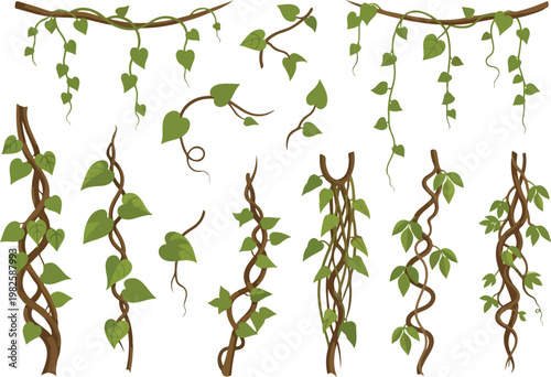 Collection of green vines with heart-shaped leaves, perfect for nature and design projects
