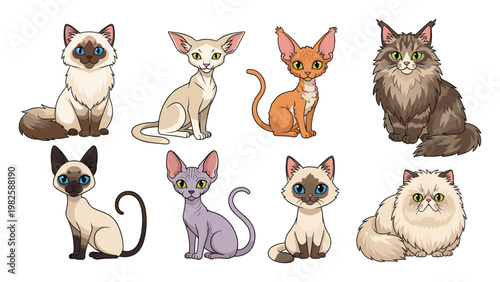 Diverse set of charming domestic cats showcasing various unique breeds and fur types suitable for petrelated educational materials or merchandise designs