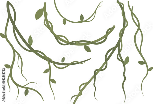 Lush Green Twisting Vines and Foliage Illustrations with a Natural, Organic Feel