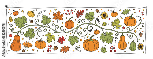Hand drawn autumn harvest vine border with pumpkins, leaves, berries, and acorns, perfect for fall season decorations, Thanksgiving invitations, or seasonal event promotions