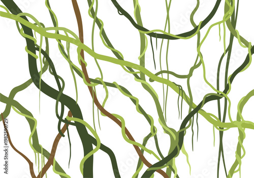 Jungle vines and lianas hanging down from trees in a dense, wild, green forest canopy