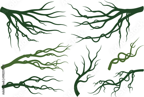 Set of green vines and branches with intricate twists and curls, evoking organic growth and natural designs