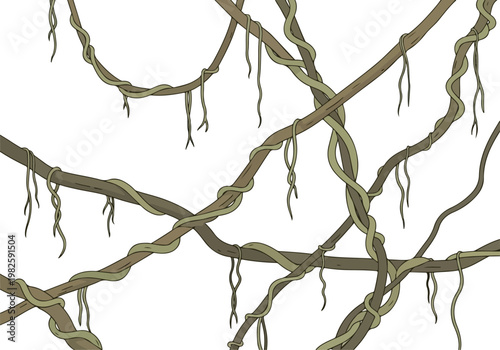 Tangled Jungle Vines Abstract Background with Detailed Organic Texture and Natural Growth Patterns