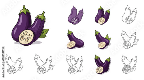 Delicious organic eggplants presented in various styles including whole, sliced, colored, and outline versions, perfect for culinary projects and healthy eating promotions.