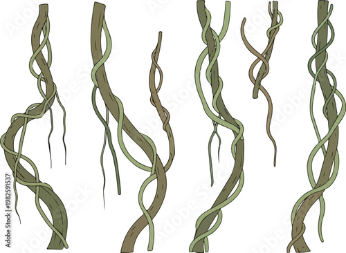 Diverse collection of hanging vines and tropical plants in an illustrated, stylized jungle theme