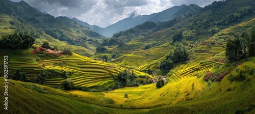 A breathtaking panoramic view showcases vibrant green and golden rice terraces cascading down lush, rolling hills beneath a dramatic, cloudy sky.