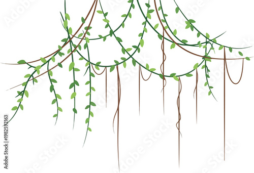 Lush green vines with hanging tendrils, symbolizing jungle growth and natural beauty