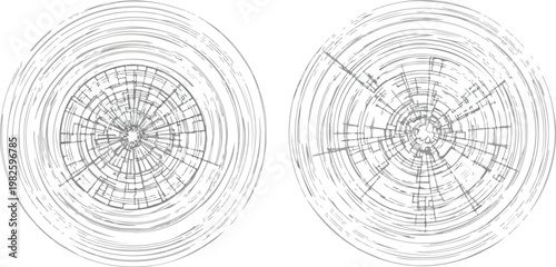 Abstract radial patterns creating a visual representation of data or growth, in grayscale
