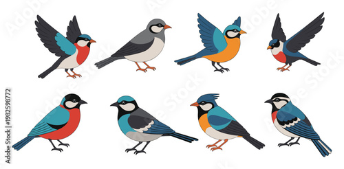Collection of colorful stylized birds with vibrant plumage for wildlife education materials, naturethemed web graphics, childrens book illustrations, and avian conservation projects
