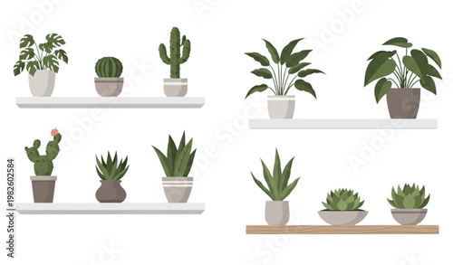 Vector Set of Indoor Cacti and Succulent Plants in Modern Pots on Shelves for Minimalist Home Decor and Greenery Designs