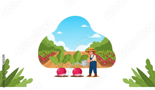 Vector Set of Farmer in a Field Watering Crops with Radishes for Agriculture, Farming, and Organic Food Designs