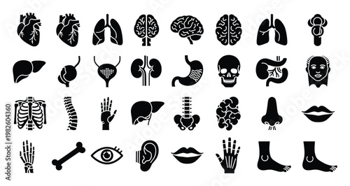 Comprehensive collection of human anatomy organs and body parts in black silhouette icons suitable for medical educational materials and health related graphic design projects