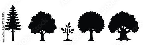 Diverse collection of tree silhouettes representing different species and growth stages ideal for naturethemed graphic design projects and environmental conservation campaigns