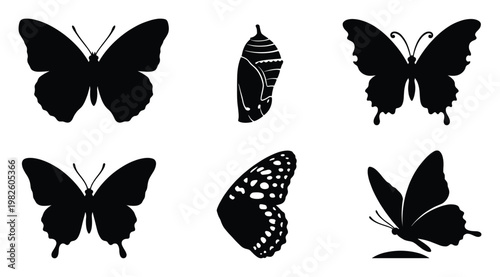 Various black butterfly and chrysalis insect silhouettes for nature themed designs, educational content, decorative graphics, and biological study materials