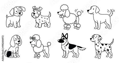 Adorable friendly dog breed line art illustrations featuring various canine companions ideal for veterinary clinic marketing, pet product packaging, and educational materials