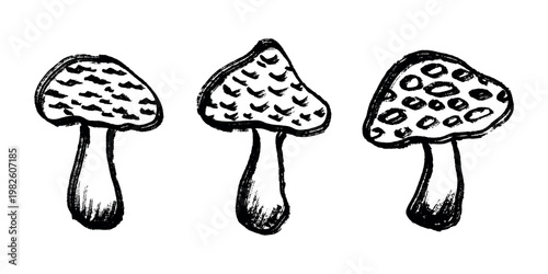 Hand drawn mushroom doodle set Botanical illustration Cute autumn mushroom Healthy eco food Organic vegetarian food For stickers, greeting card, design, print, packaging, decor, kids books