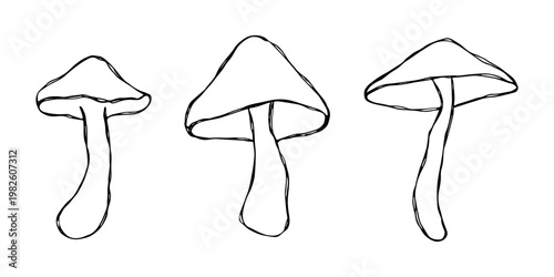 Hand drawn mushroom doodle set Botanical illustration Cute autumn mushroom Healthy eco food Organic vegetarian food For stickers, greeting card, design, print, packaging, decor, kids books