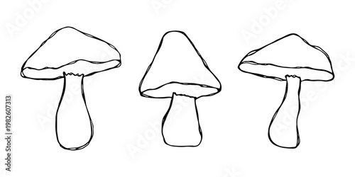 Hand drawn mushroom doodle set Botanical illustration Cute autumn mushroom Healthy eco food Organic vegetarian food For stickers, greeting card, design, print, packaging, decor, kids books