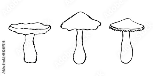 Hand drawn mushroom doodle set Botanical illustration Cute autumn mushroom Healthy eco food Organic vegetarian food For stickers, greeting card, design, print, packaging, decor, kids books