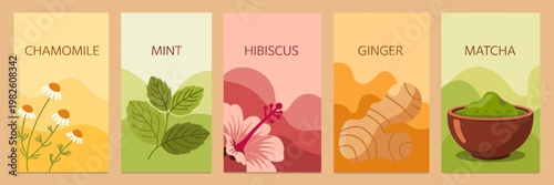 Herbal Tea Blend Banner Set Flat Vector with Chamomile Mint Hibiscus Ginger and Matcha Botanical Infusions