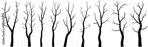 Black bare tree silhouettes against 