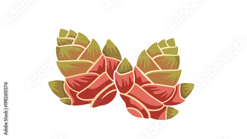 Detailed color illustration of two pine cones or organic seed pods with overlapping brown and green scales on white background.