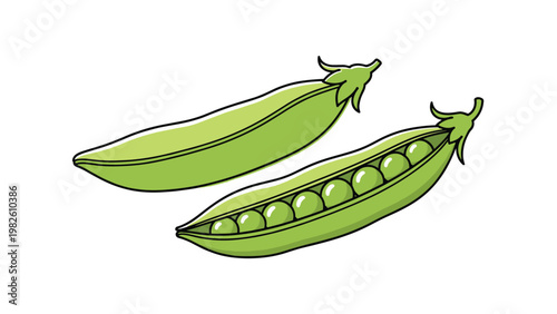 Illustration of two green pea pods with one open showing round peas inside in a fresh organic style on white background.