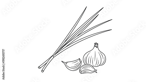 Black and white line art of garlic bulbs and fresh green onion stalks commonly used as flavorful cooking ingredients in various cuisines.