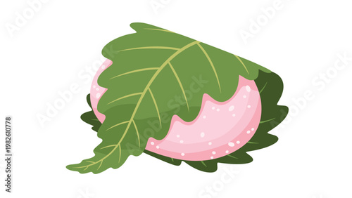 Traditional Japanese sakura mochi dessert consisting of pink rice cake wrapped in green salted cherry blossom leaf for spring celebration.