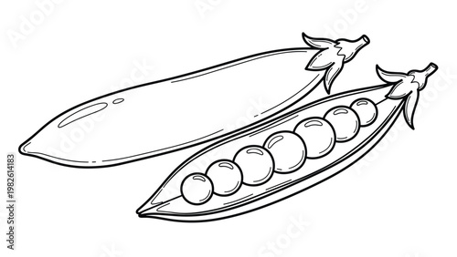 Elegant line drawing of two garden pea pods with one pod split open to reveal a row of round peas and small decorative leaves.