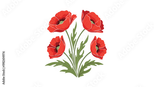 Red poppy flowers illustration with vibrant petals and green leaves on tall stems isolated on a clean white background for garden designs.