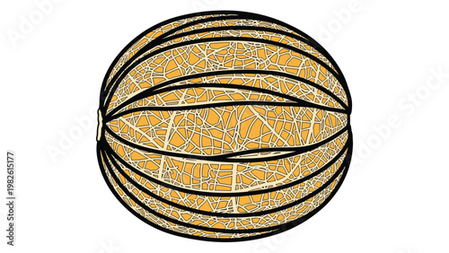Large cantaloupe melon illustrated with its characteristic webbed skin texture and round shape against a white background.