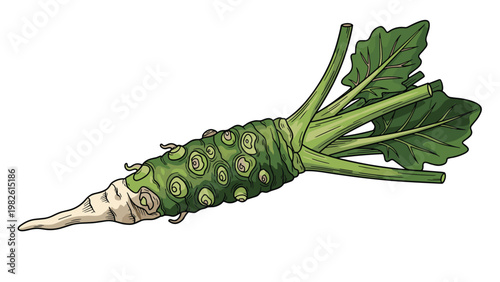Green wasabi root with its characteristic bumpy texture and leaves is shown as a key ingredient for traditional Japanese cuisine and condiments.