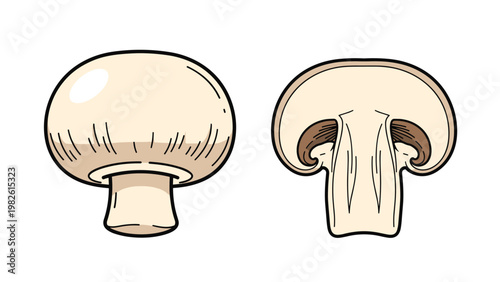 Whole white button mushroom and its vertical cross-section are displayed together to show the internal and external structure of the fungus.