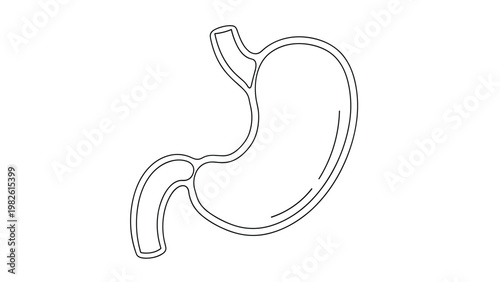 Simple black and white line drawing illustrates the human stomach and its anatomy, serving as a clear medical diagram for educational purposes.