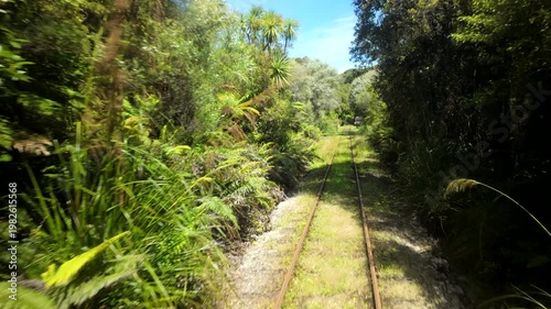 Scenic Train Ride Through Lush Forest