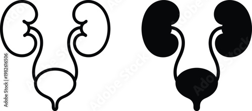 Human kidneys and bladder line art icon design for anatomy and medical isolated on transparent background