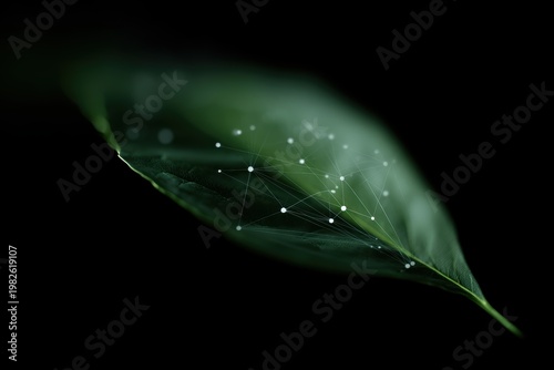 ai inspired leaf made from digital dots and network lines environmental data technology concept