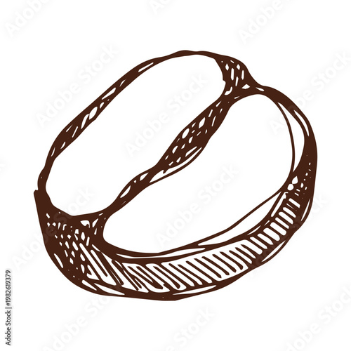Hand drawn fresh roasted coffee bean Arabica robusta seed doodle Single element for print, web, design, decor