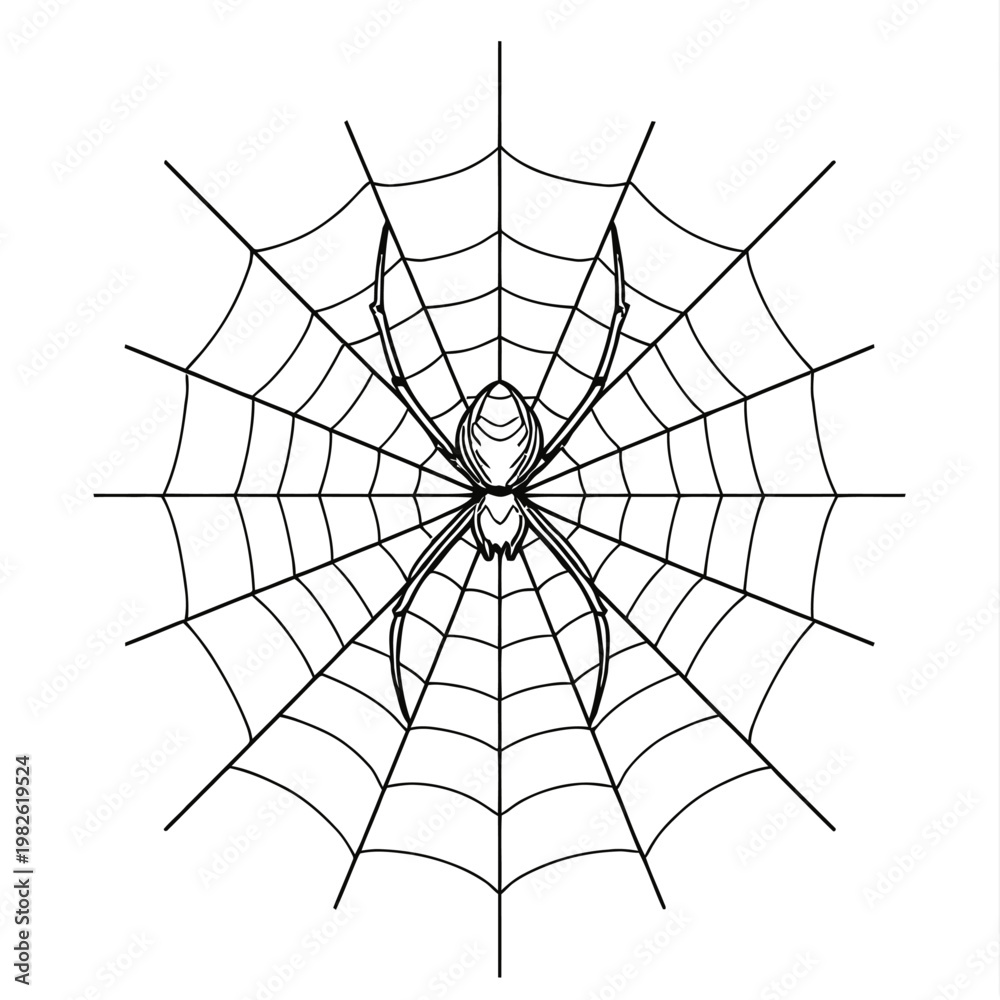 Obraz premium Spider Web Building Minimal Line Art
