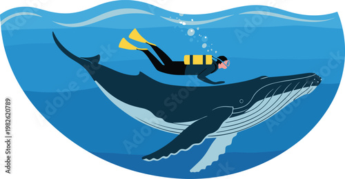 Diver swimming with whale underwater vector on white background.