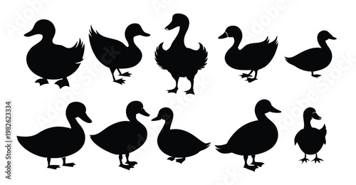 duck black silhouette isolated flat illustration set