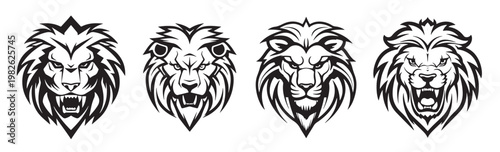  lion sketchy graphical black and white portrait